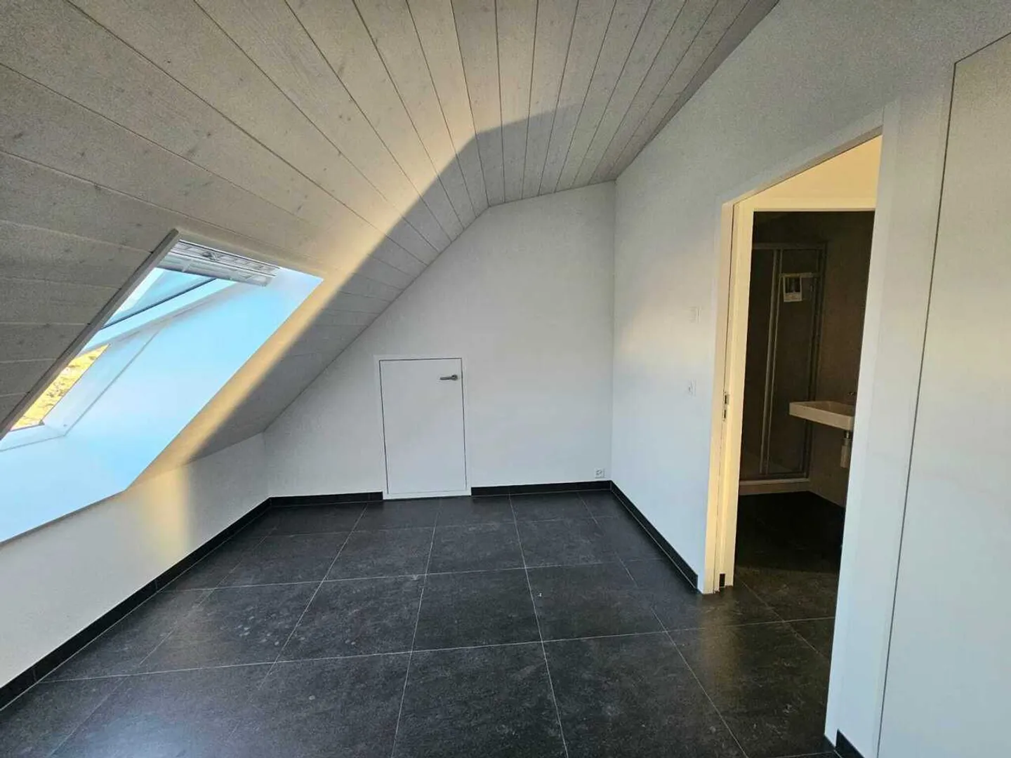 Appartamento mansardato 2.5 stanze con vista eccezionale a Yverdon-les-Bains - Foto 4 di 5