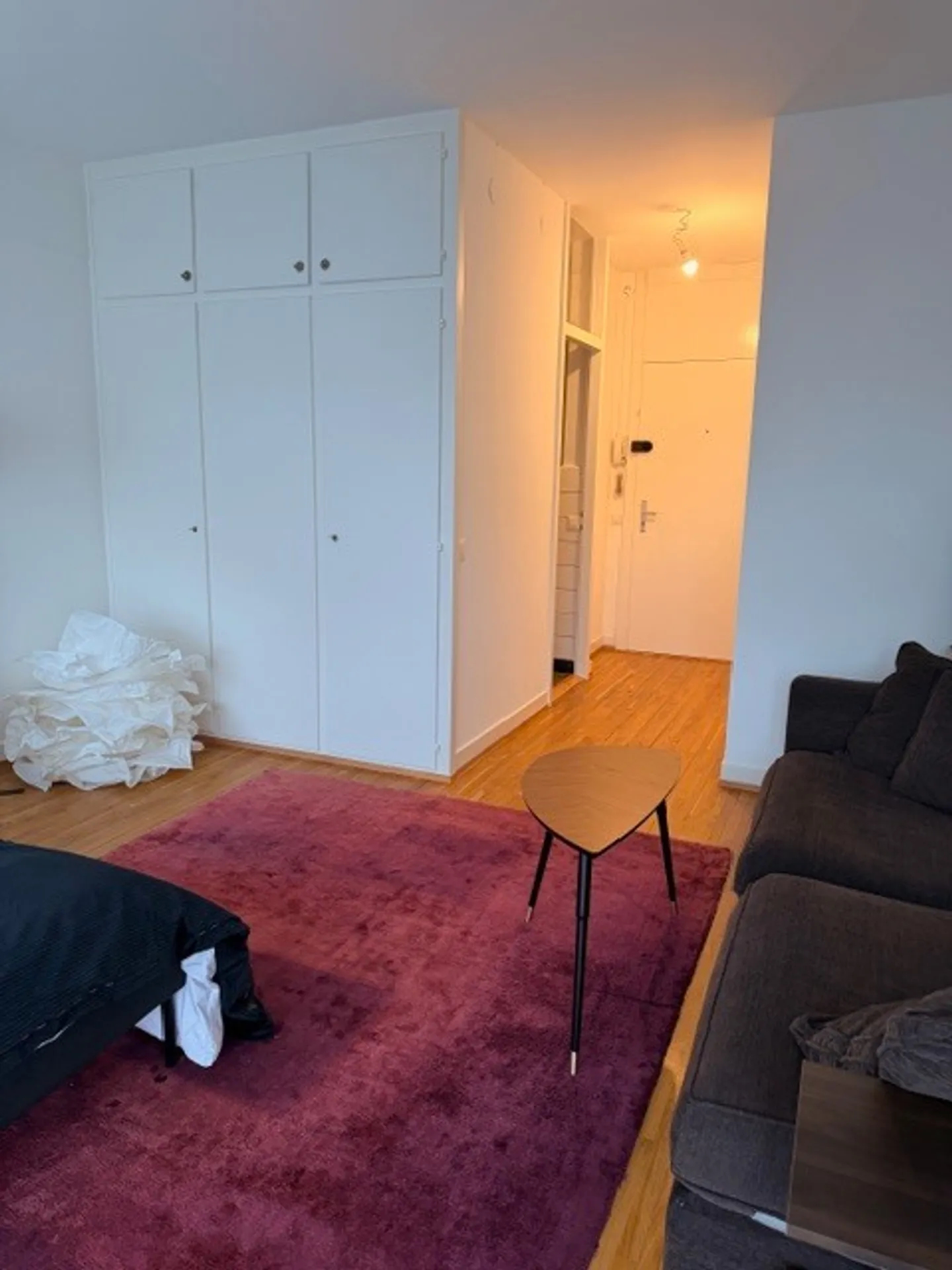 Furnished studio in Eaux-Vives - Photo 3 of 8