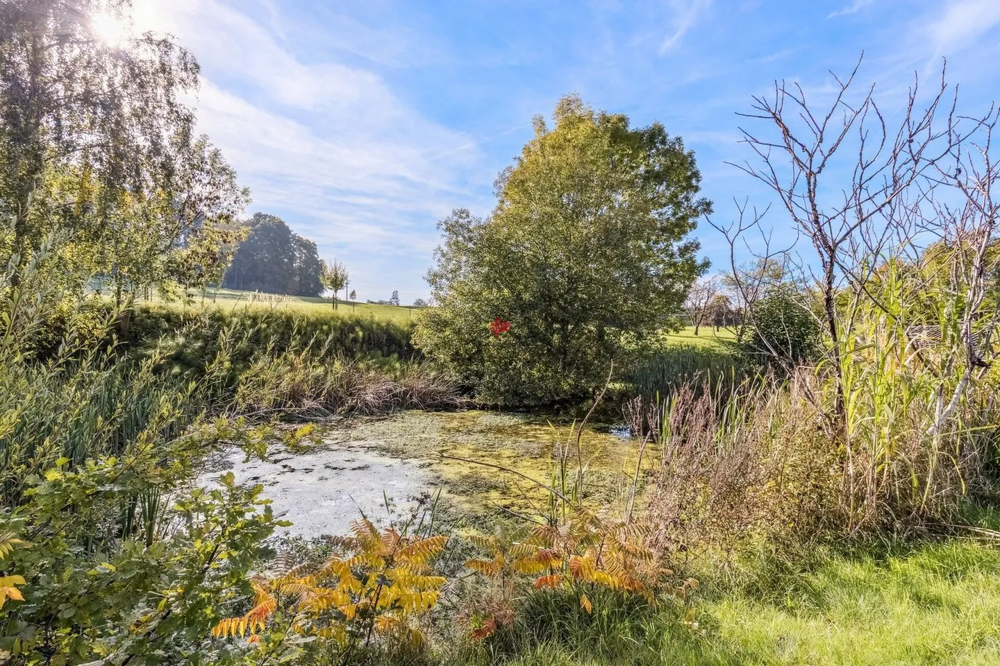 Plenty of space for realization! - Photo 11 of 12