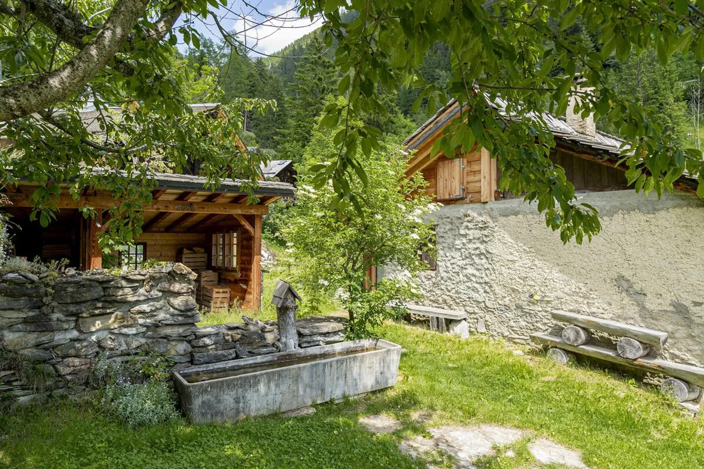 A Gem for Nature Lovers in Albinen - Photo 3 of 27