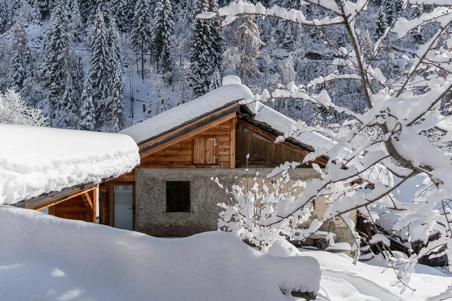 A Gem for Nature Lovers in Albinen - Photo 4 of 27