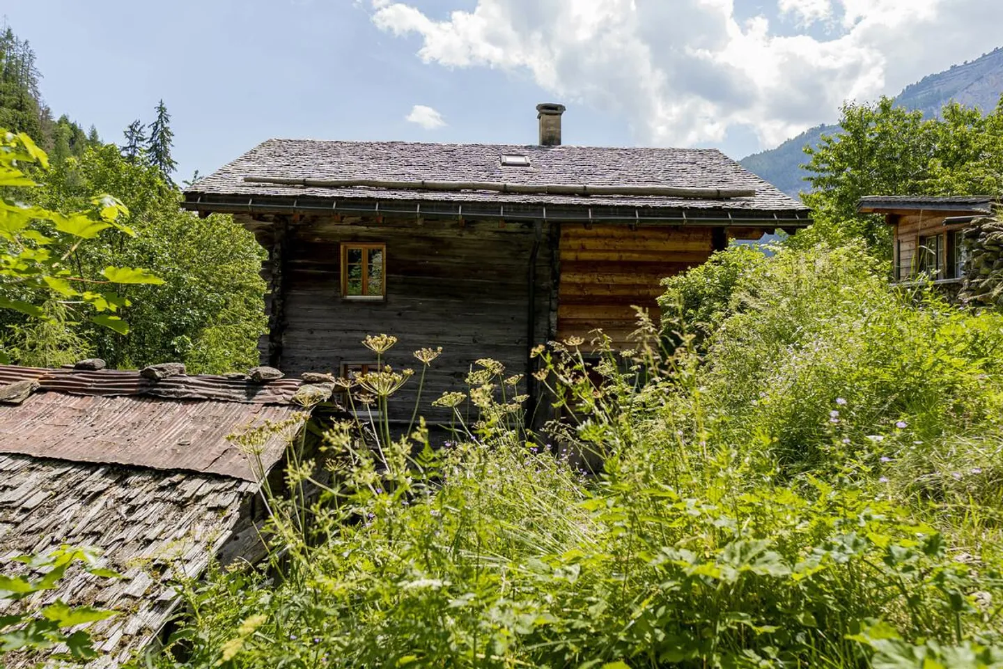 A Gem for Nature Lovers in Albinen - Photo 16 of 27