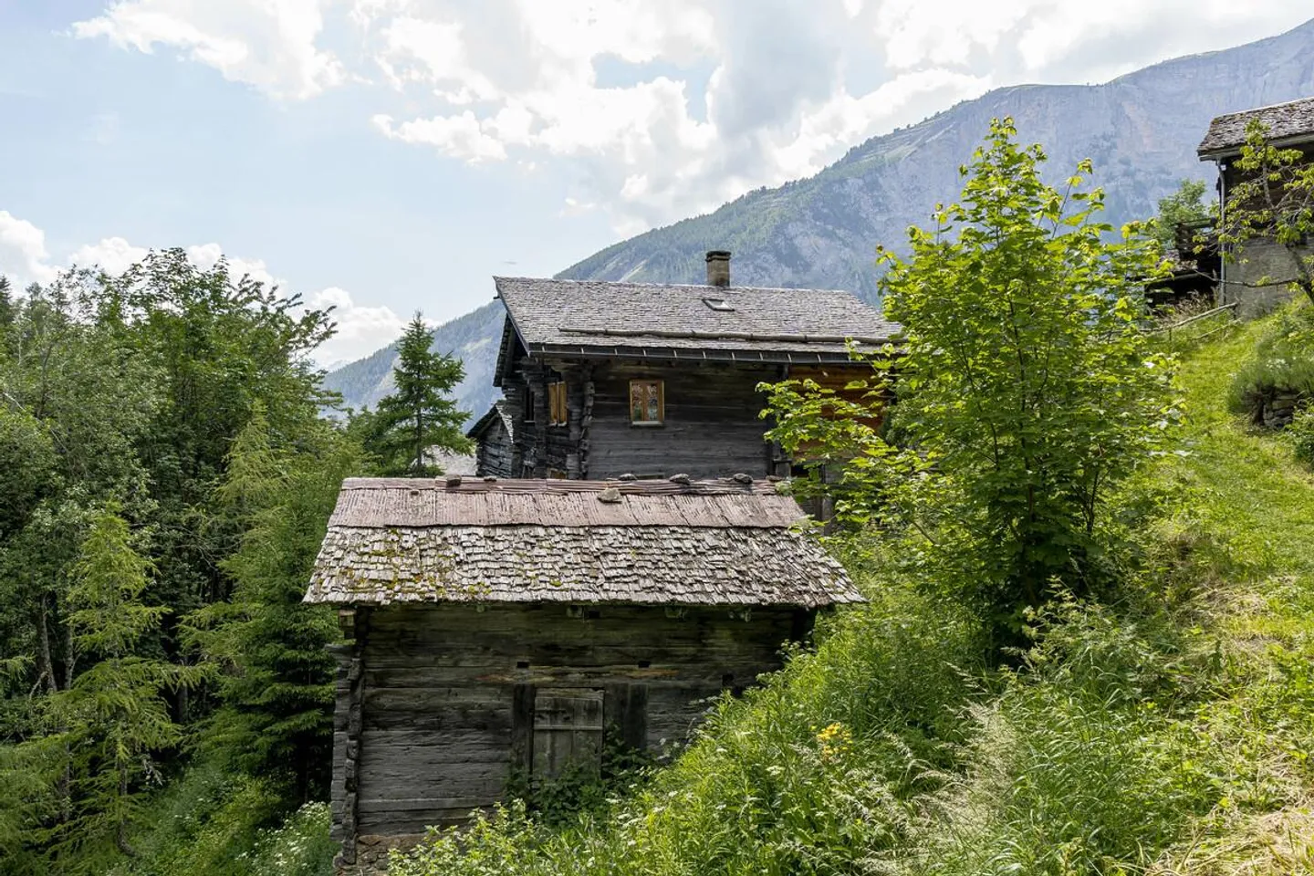 A Gem for Nature Lovers in Albinen - Photo 19 of 27