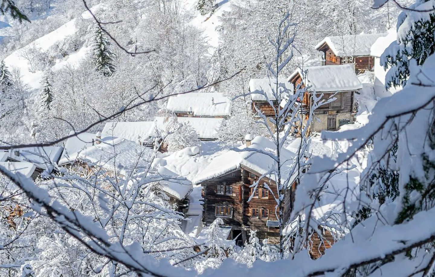 A Gem for Nature Lovers in Albinen - Photo 21 of 27