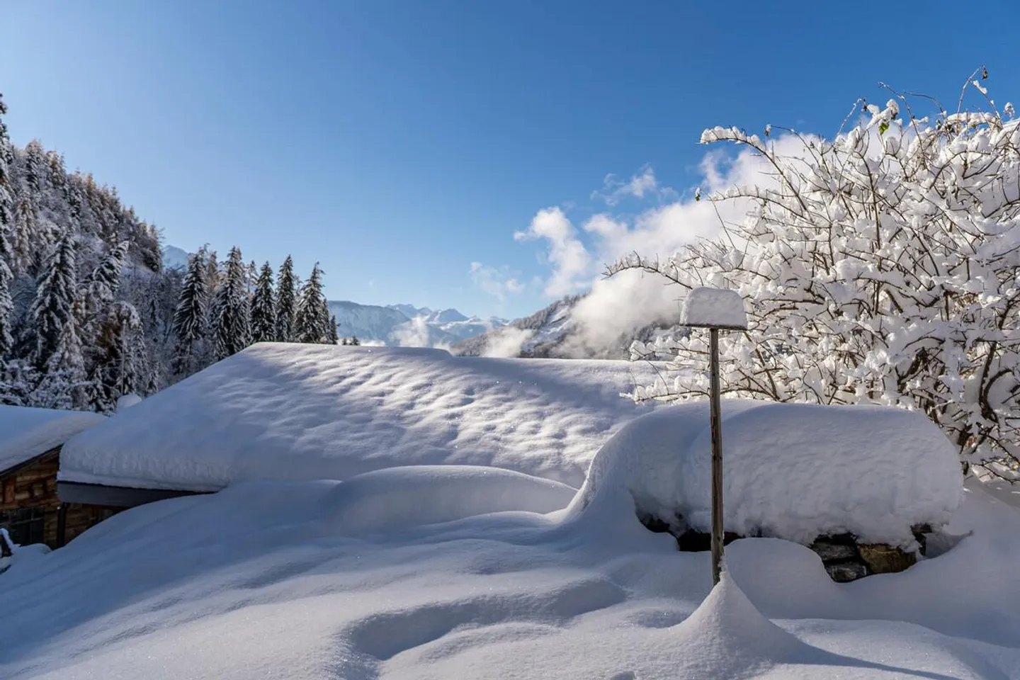 A Gem for Nature Lovers in Albinen - Photo 22 of 27