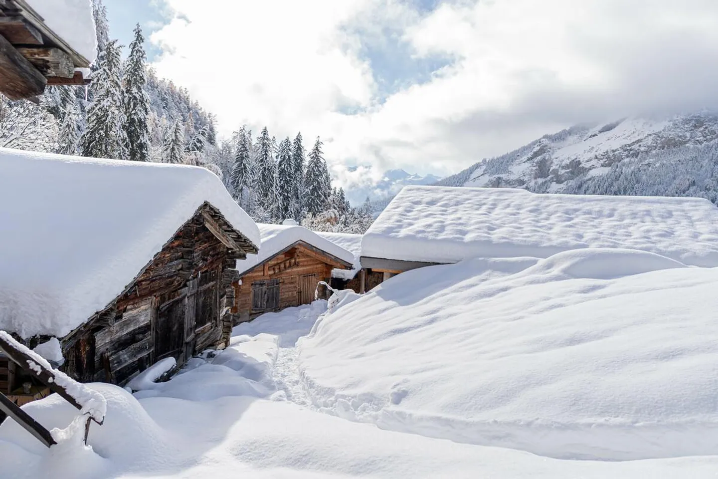 A Gem for Nature Lovers in Albinen - Photo 23 of 27