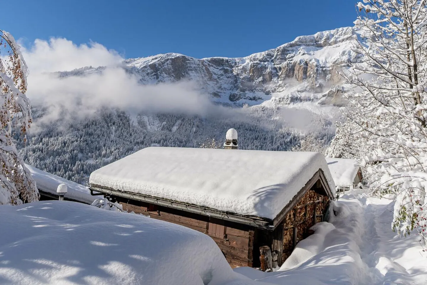 A Gem for Nature Lovers in Albinen - Photo 24 of 27