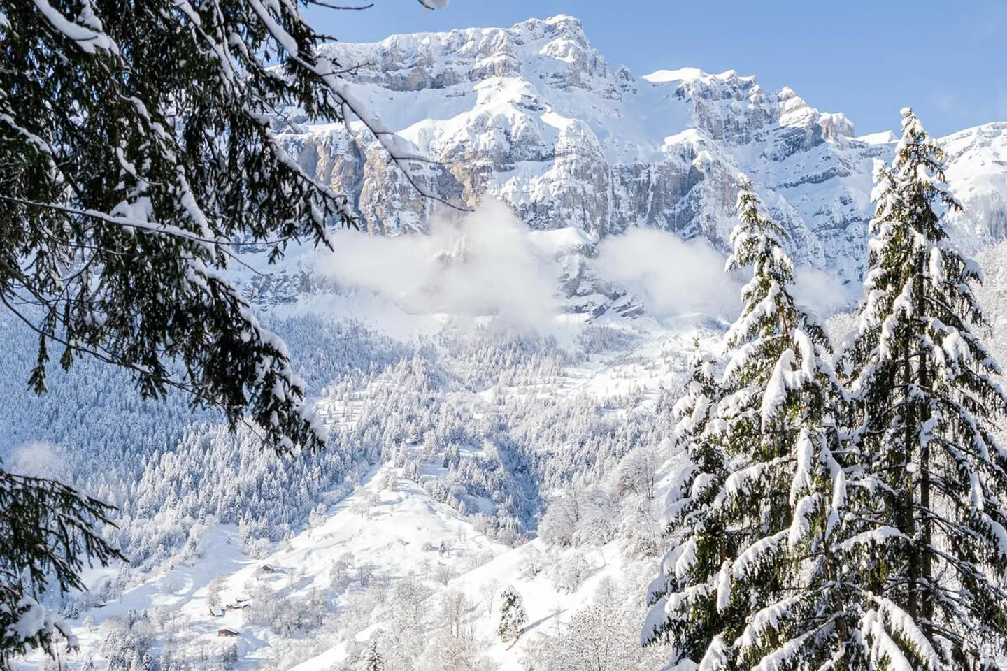 A Gem for Nature Lovers in Albinen - Photo 26 of 27