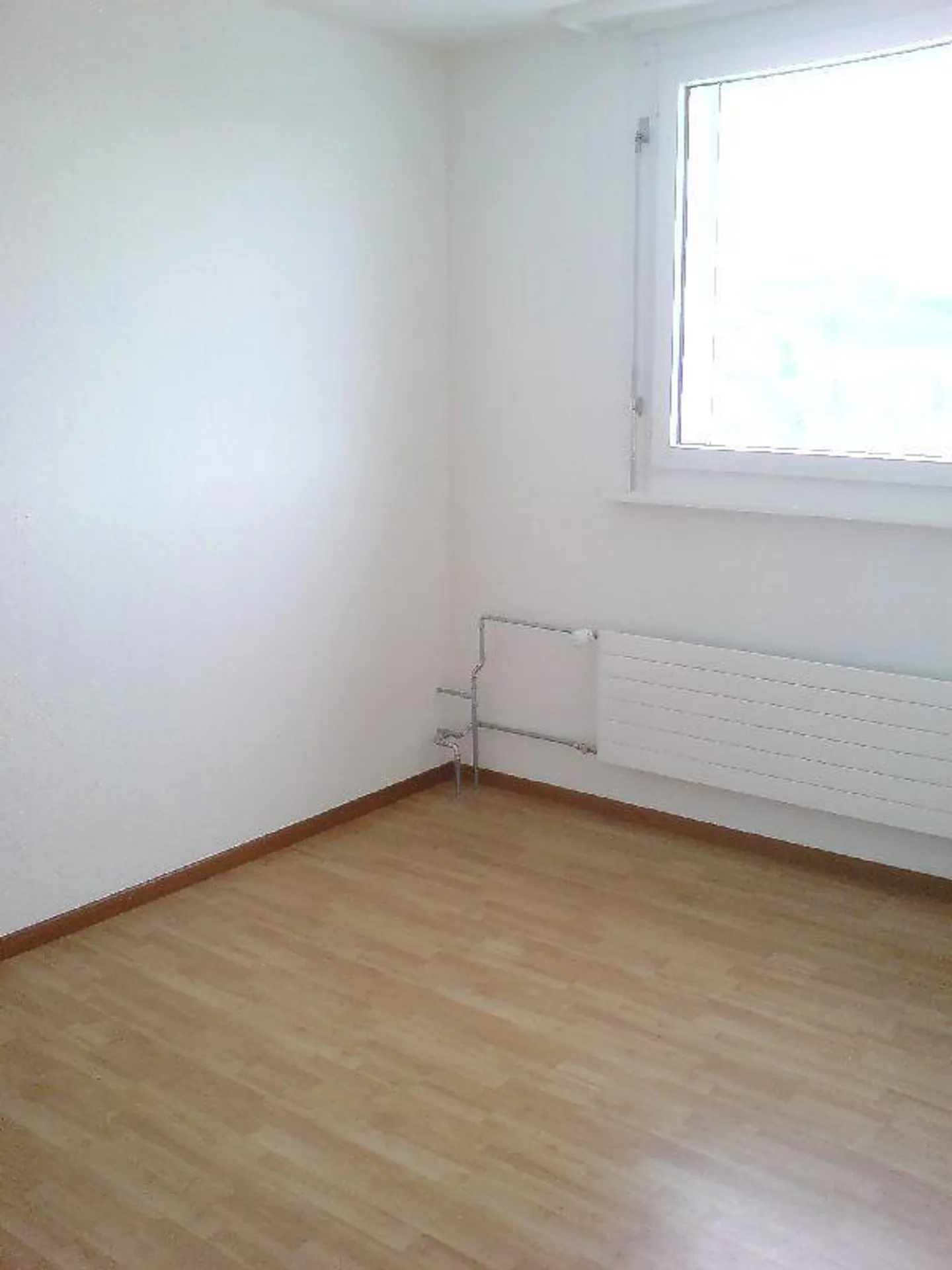 2.0 Room Apartment in Liebefeld - Photo 4 of 6