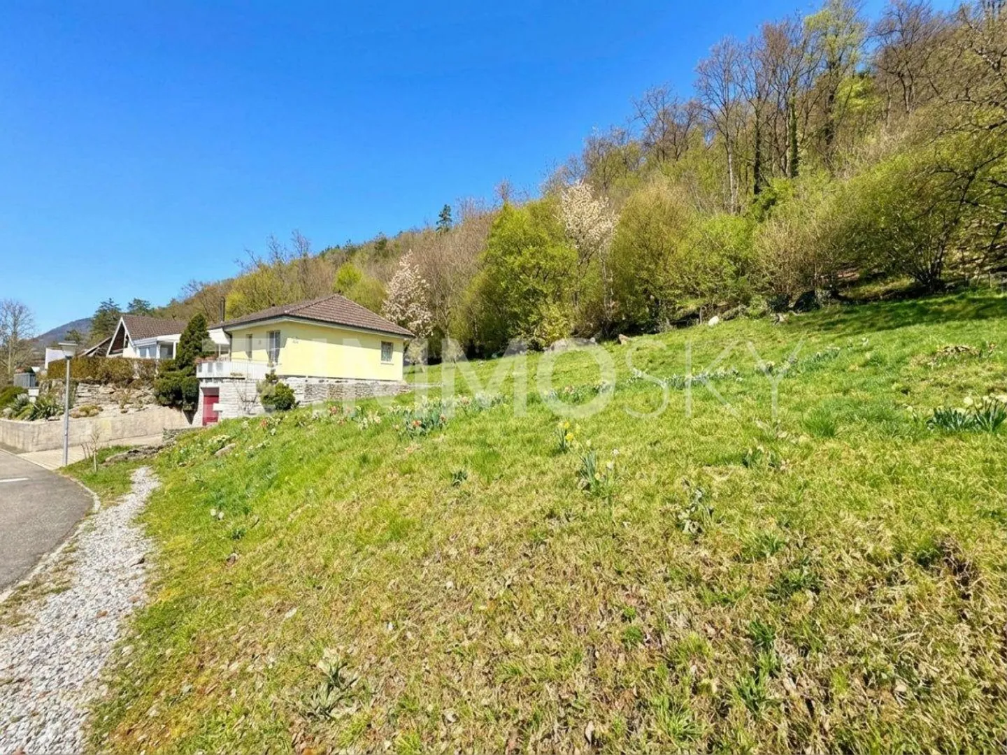 Building, Living, Life – Dream Plot in Pieterlen - Photo 4 of 5