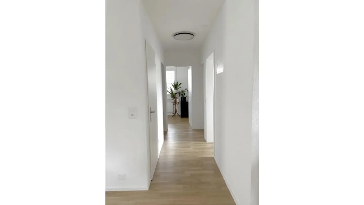 4½ ROOM APARTMENT IN BASEL - BACHLETTEN/GOTTHELF, FURNISHED, TEMPORARY - Photo 5 of 8