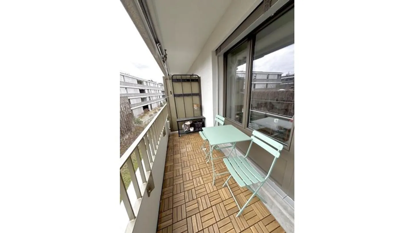 4½ ROOM APARTMENT IN BASEL - BACHLETTEN/GOTTHELF, FURNISHED, TEMPORARY - Photo 6 of 8
