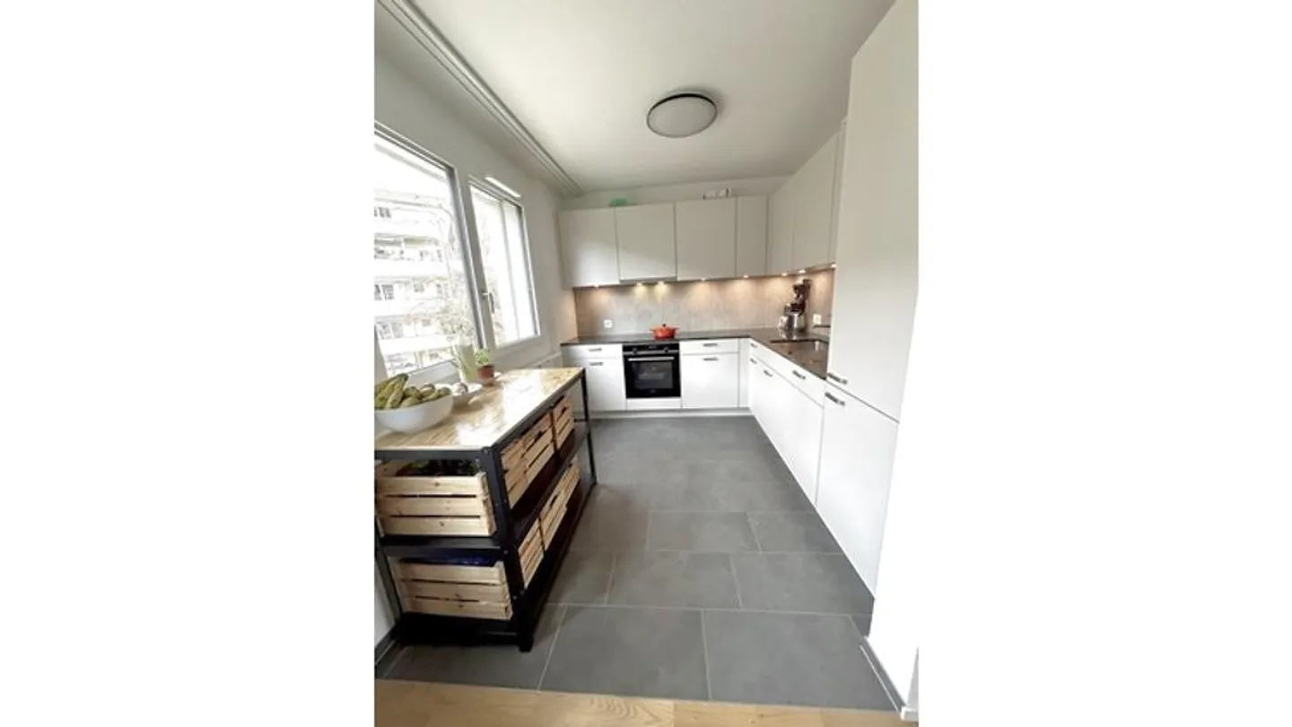 4½ ROOM APARTMENT IN BASEL - BACHLETTEN/GOTTHELF, FURNISHED, TEMPORARY - Photo 3 of 8