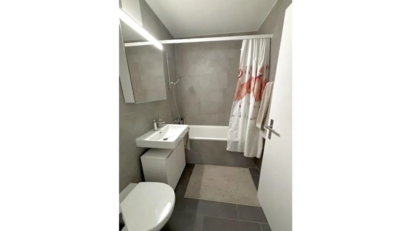 4½ ROOM APARTMENT IN BASEL - BACHLETTEN/GOTTHELF, FURNISHED, TEMPORARY - Photo 7 of 8