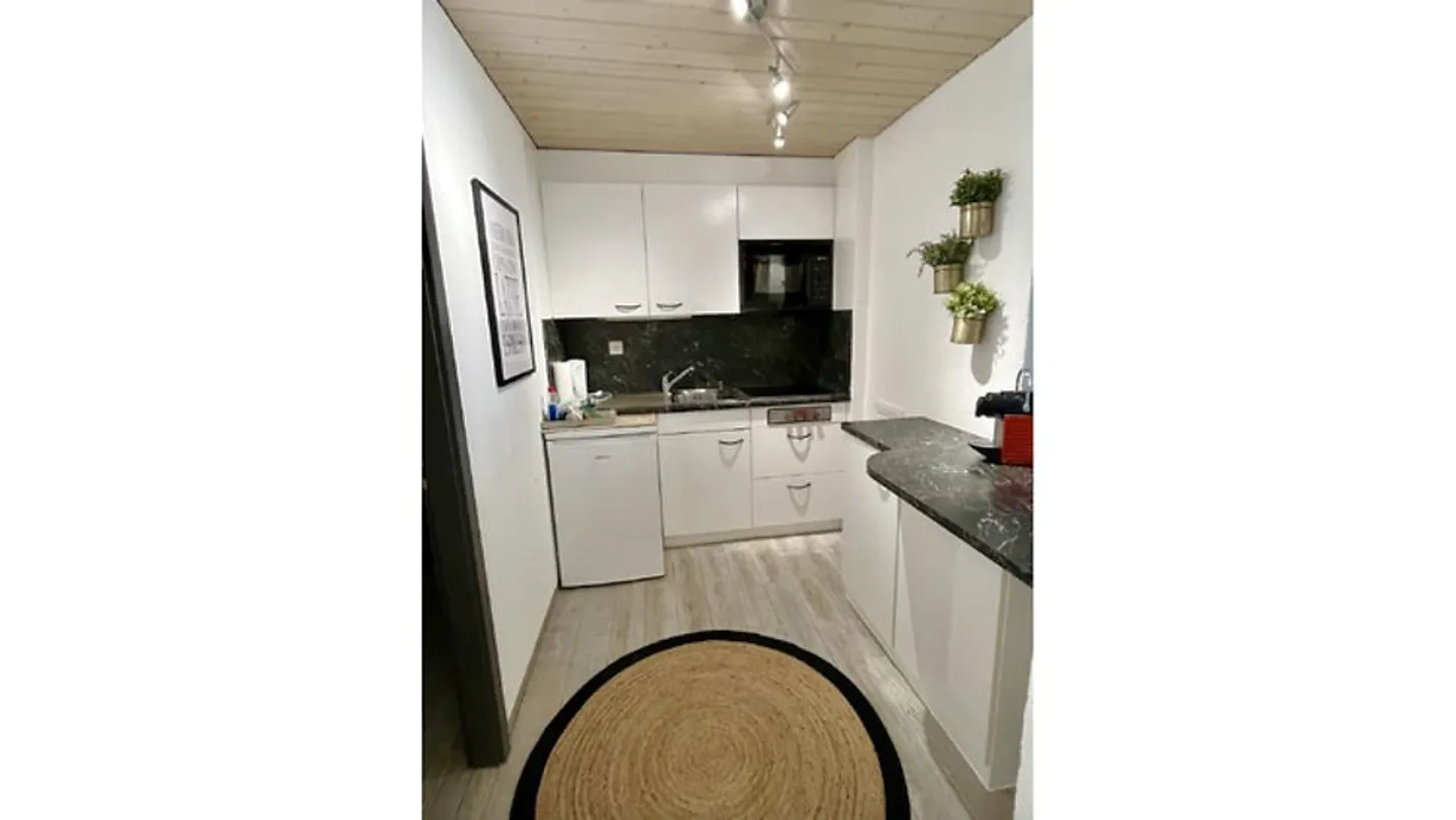 2 BR APARTMENT IN STECKBORN (TG), FURNISHED - Photo 5 of 10
