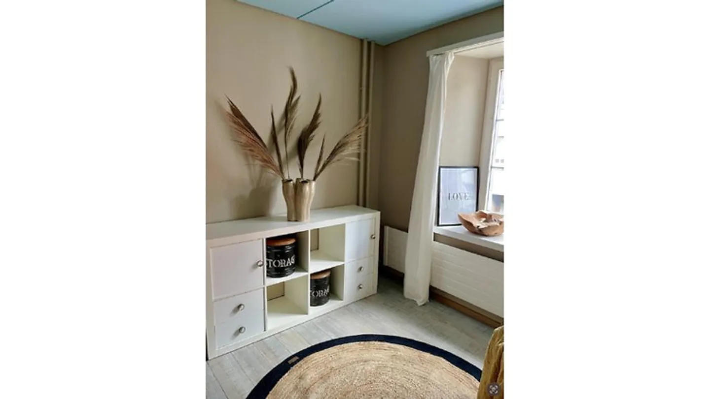 2 BR APARTMENT IN STECKBORN (TG), FURNISHED - Photo 6 of 10