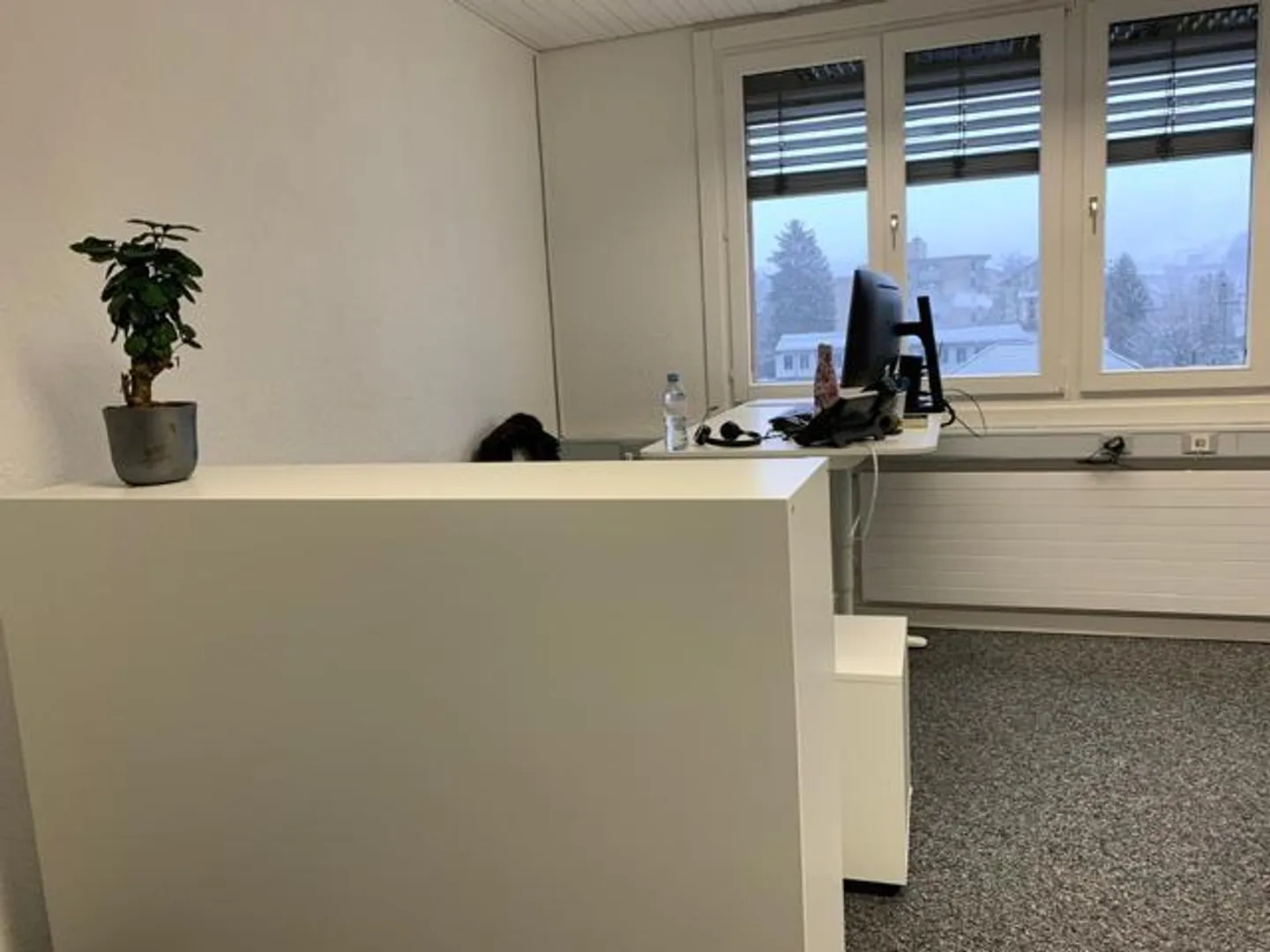 Propriété commerciale à Lachen - Photo 3 sur 4