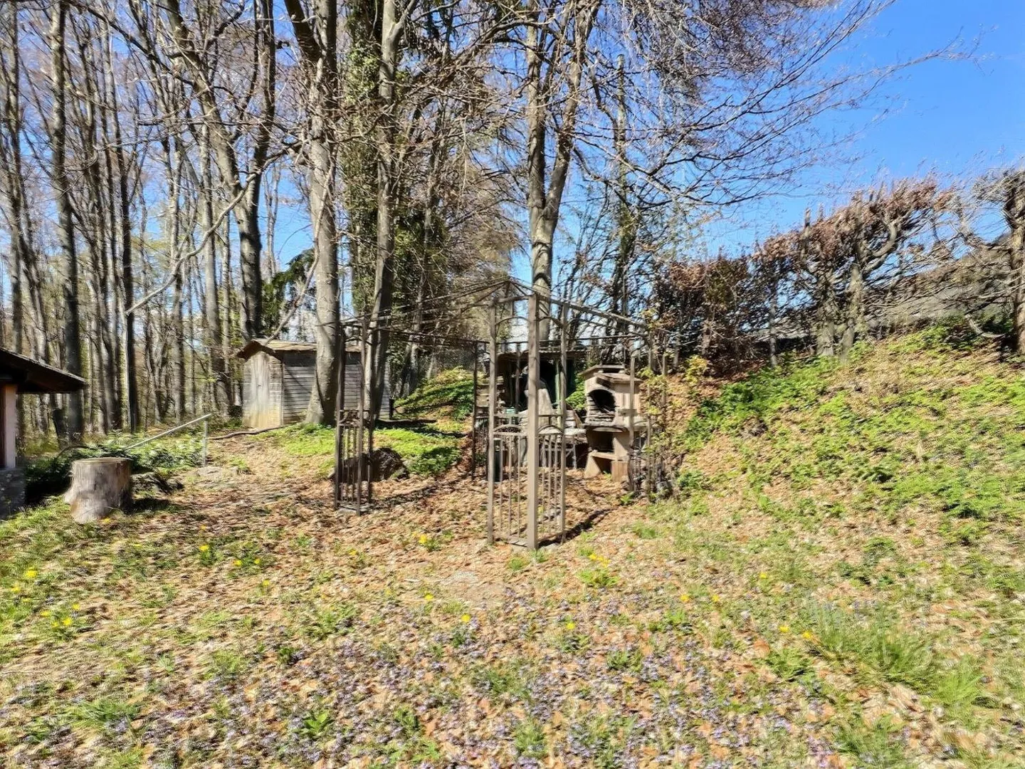 Chalet con terreni forestali e agricoli - Foto 2 di 8
