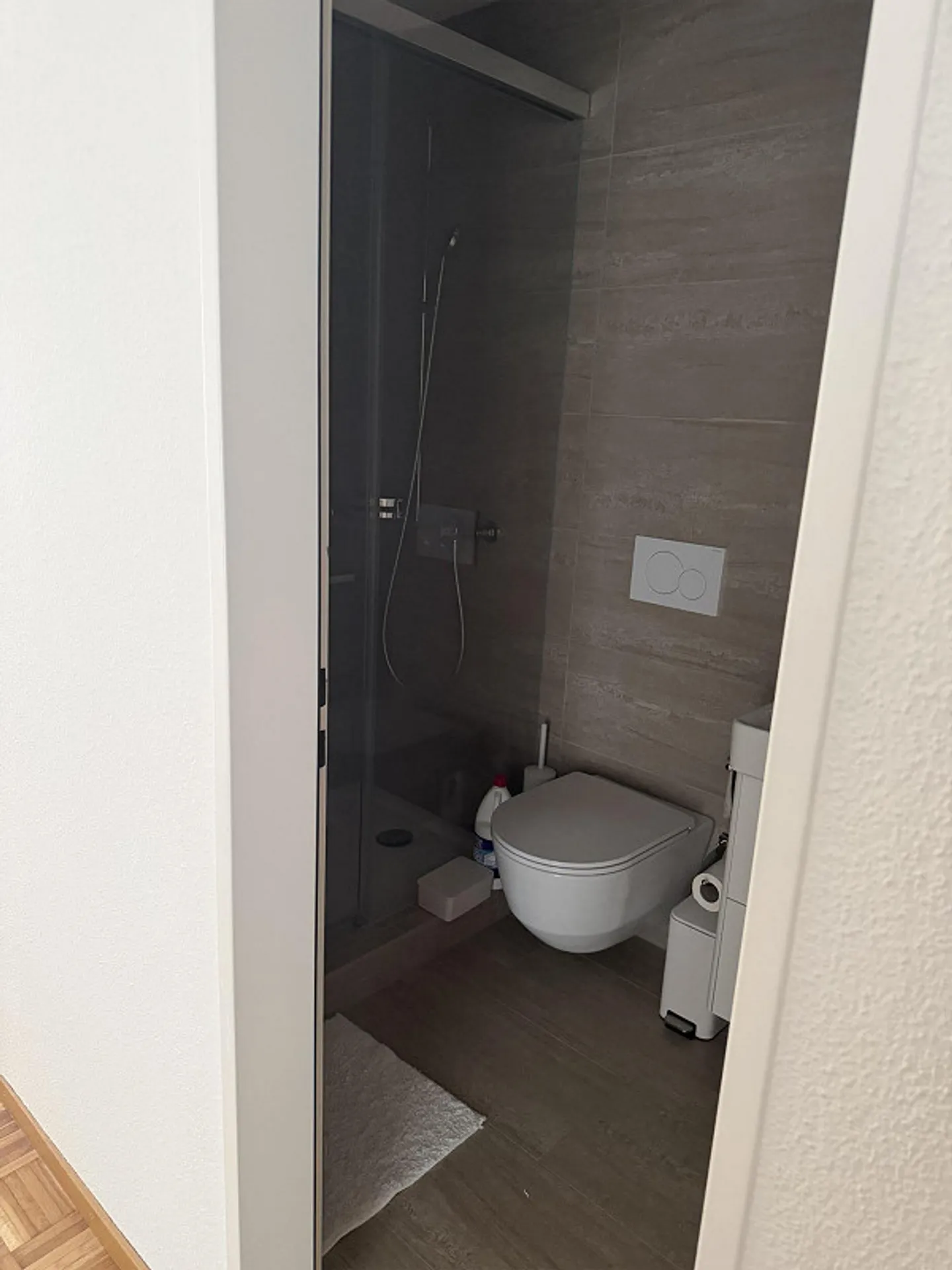 4.5 Room Apartment in Adliswil - Photo 12 of 13