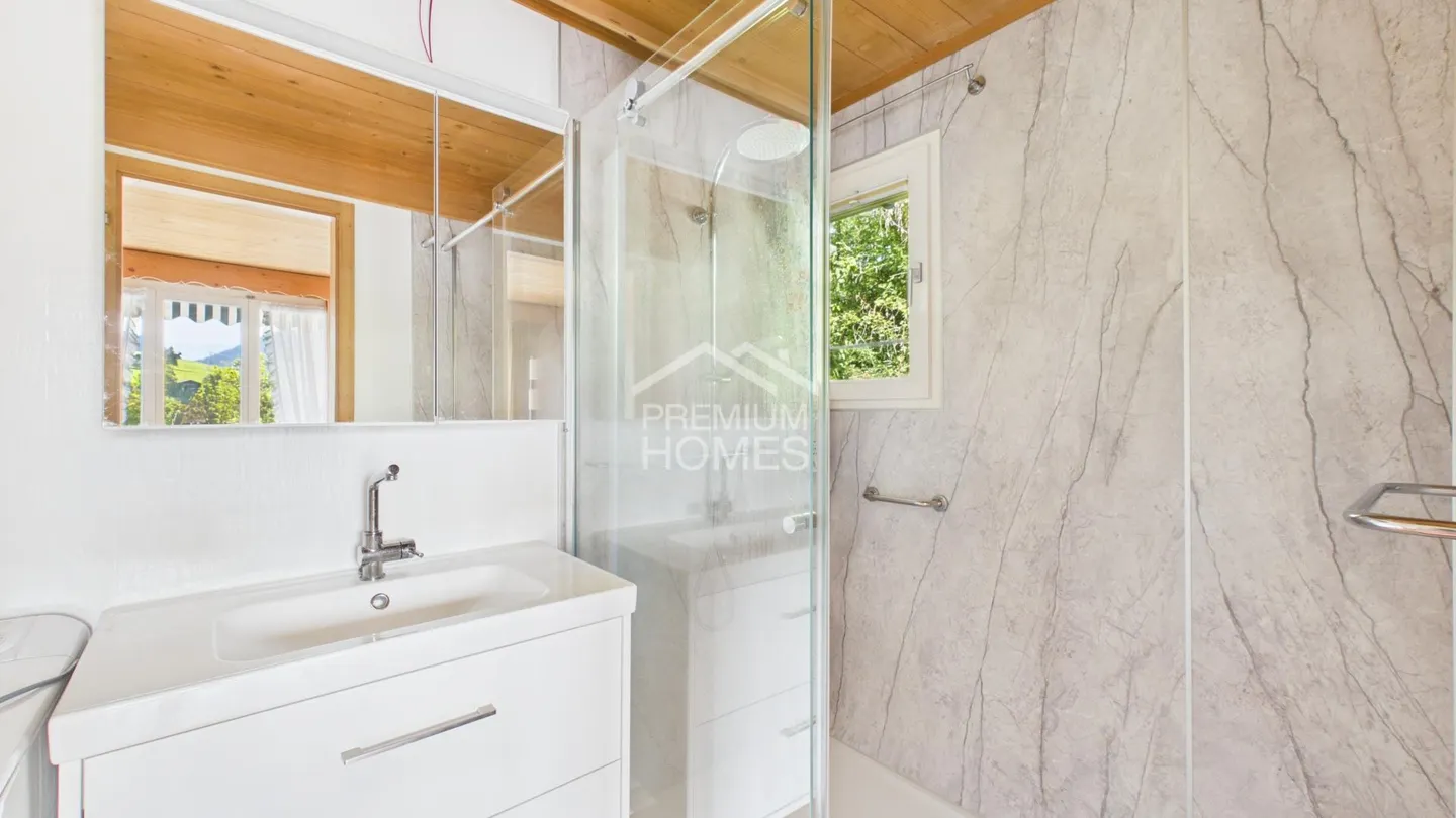 A chalet, two units, many possibilities - Your chance! - Photo 7 of 12