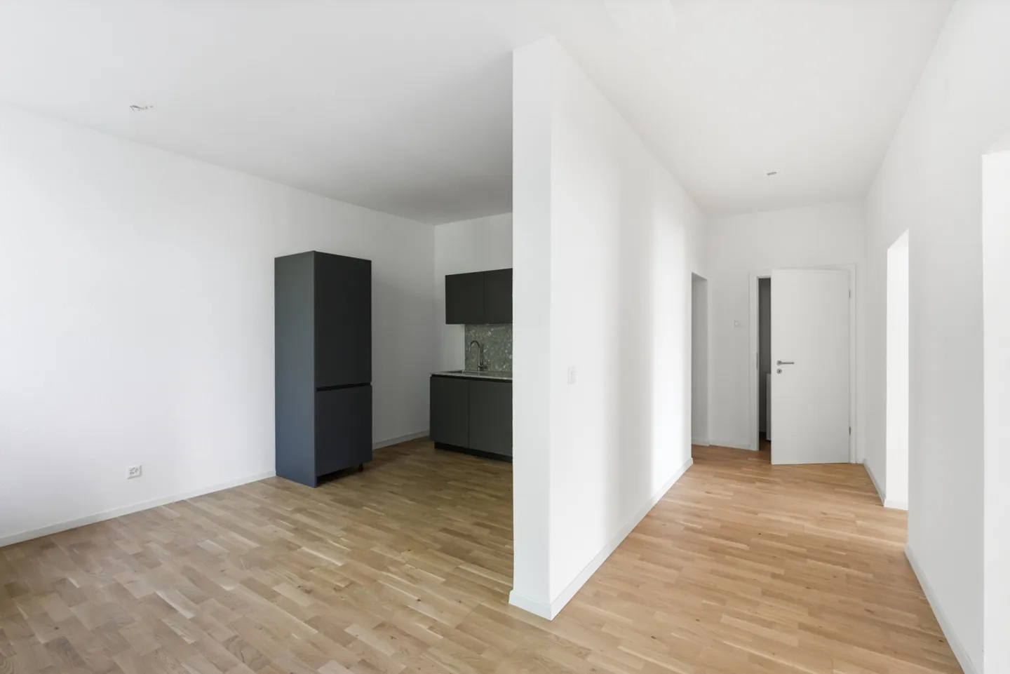 Appartamento esclusivo di 2,5 stanze con balcone e vista sul Reno - Foto 10 di 18
