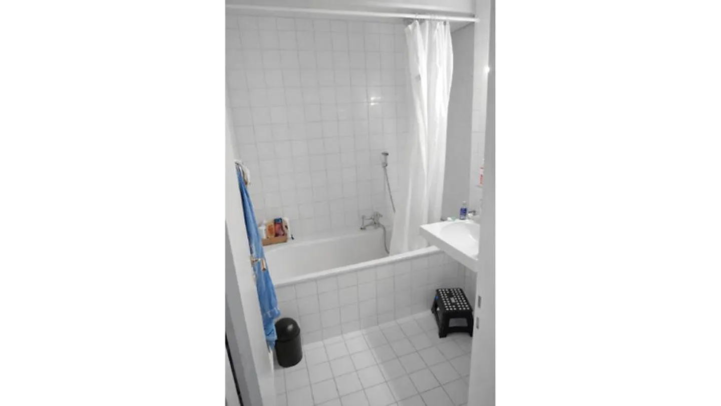 5½ ROOM MAISONETTE APARTMENT IN BERN - OBSTBERG/SCHOSSHALDE, FURNISHED - Photo 10 of 14