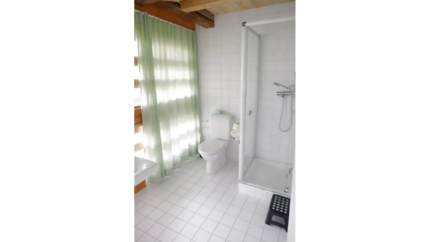 5½ ROOM MAISONETTE APARTMENT IN BERN - OBSTBERG/SCHOSSHALDE, FURNISHED - Photo 11 of 14