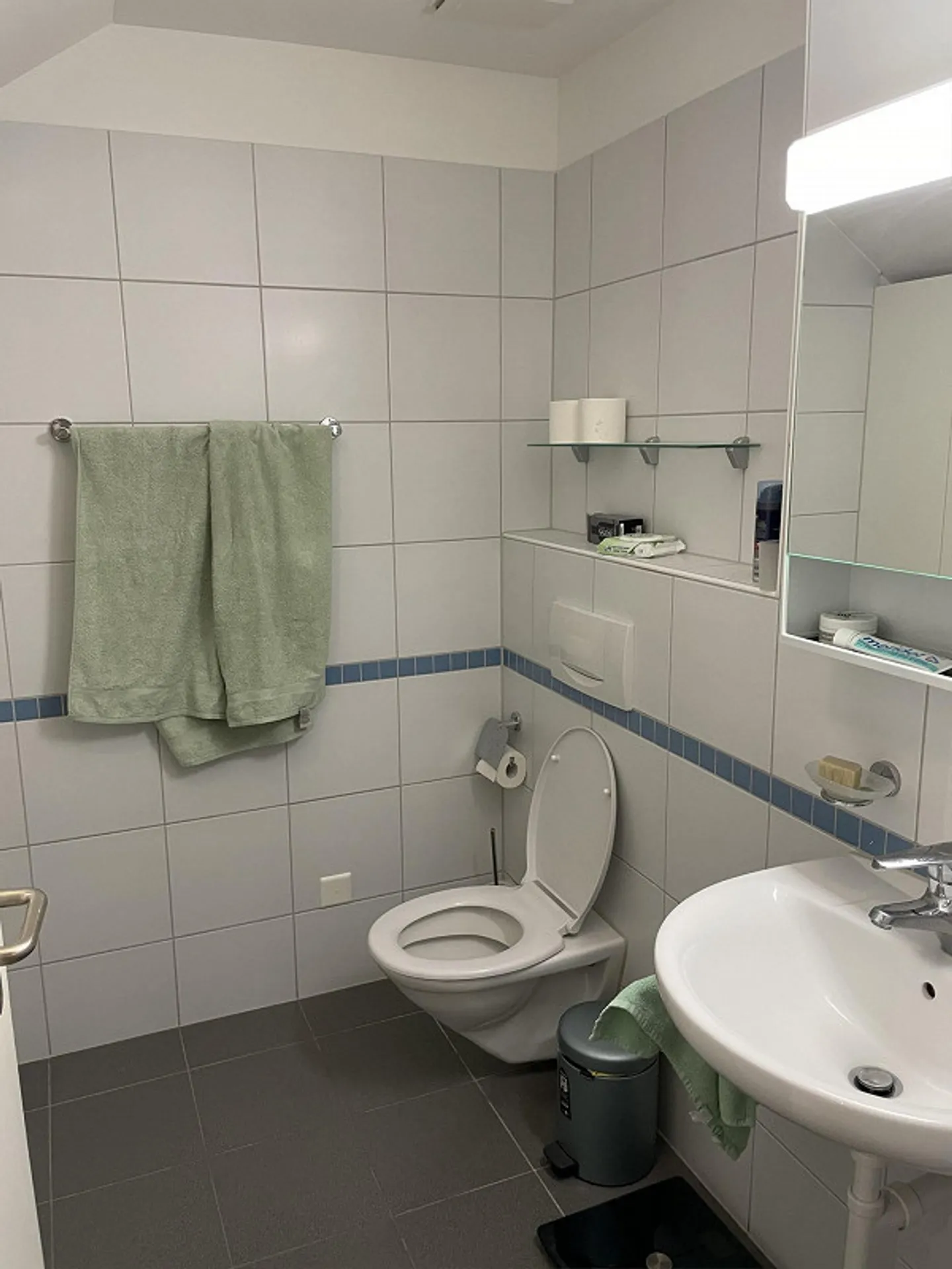 Charmantes licht-durchflutetes Haus an steuergünstiger Lage Uitikon - Foto 24 von 28