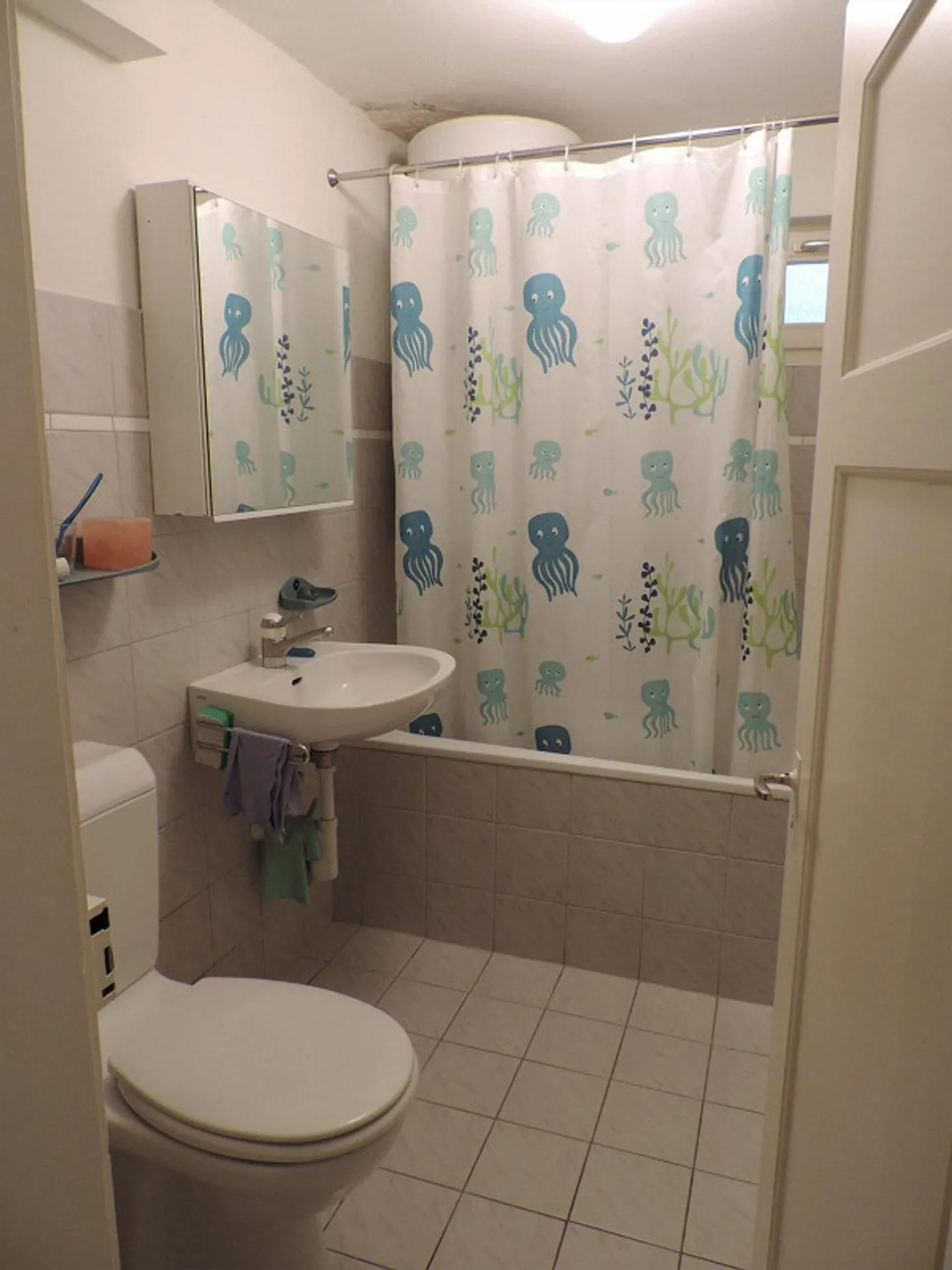 Living in the Town of Uznach - Photo 6 of 9