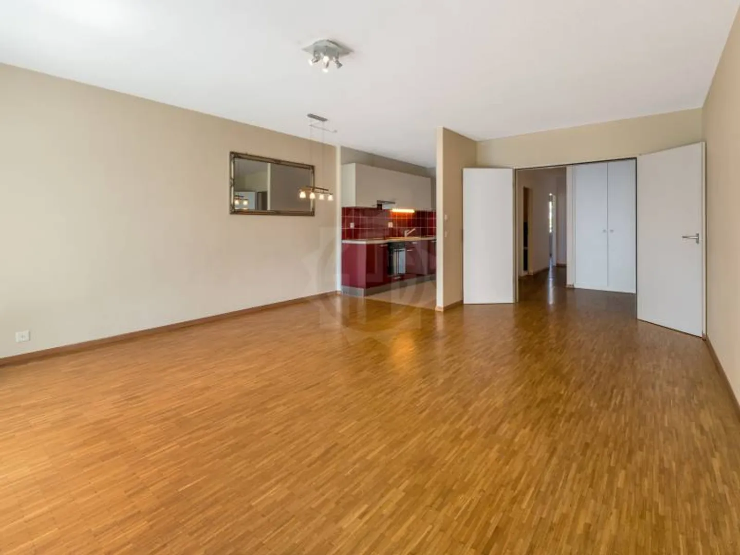 Appartement spacieux à Châtelaine - Photo 3 sur 9