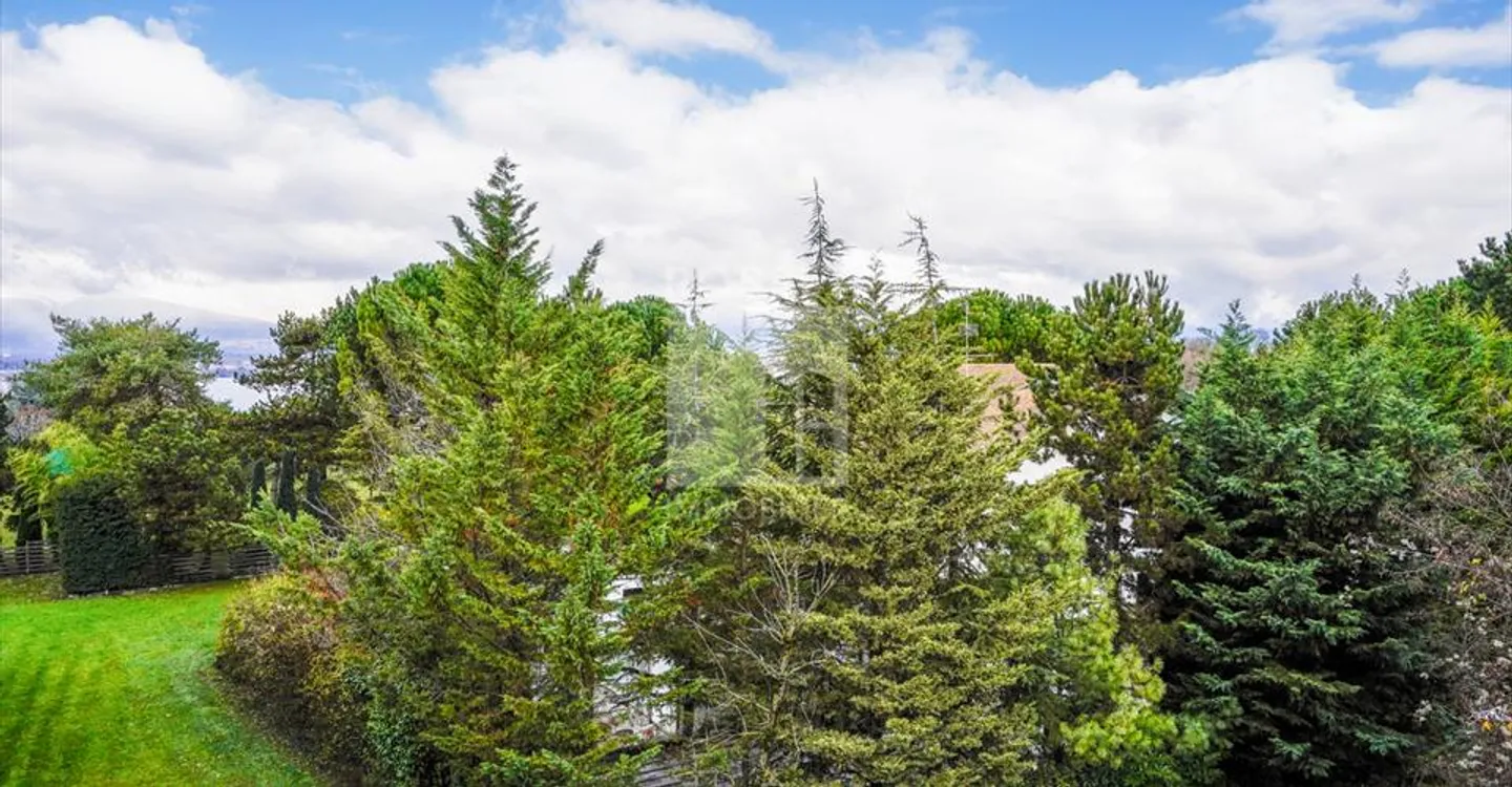Bureau à louer - Photo 5 sur 11