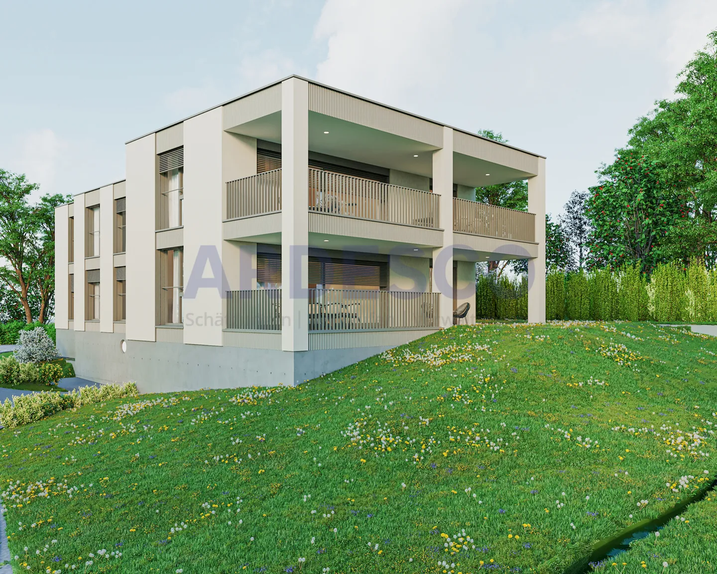 Sur les grands pieds ! - Photo 2 sur 12