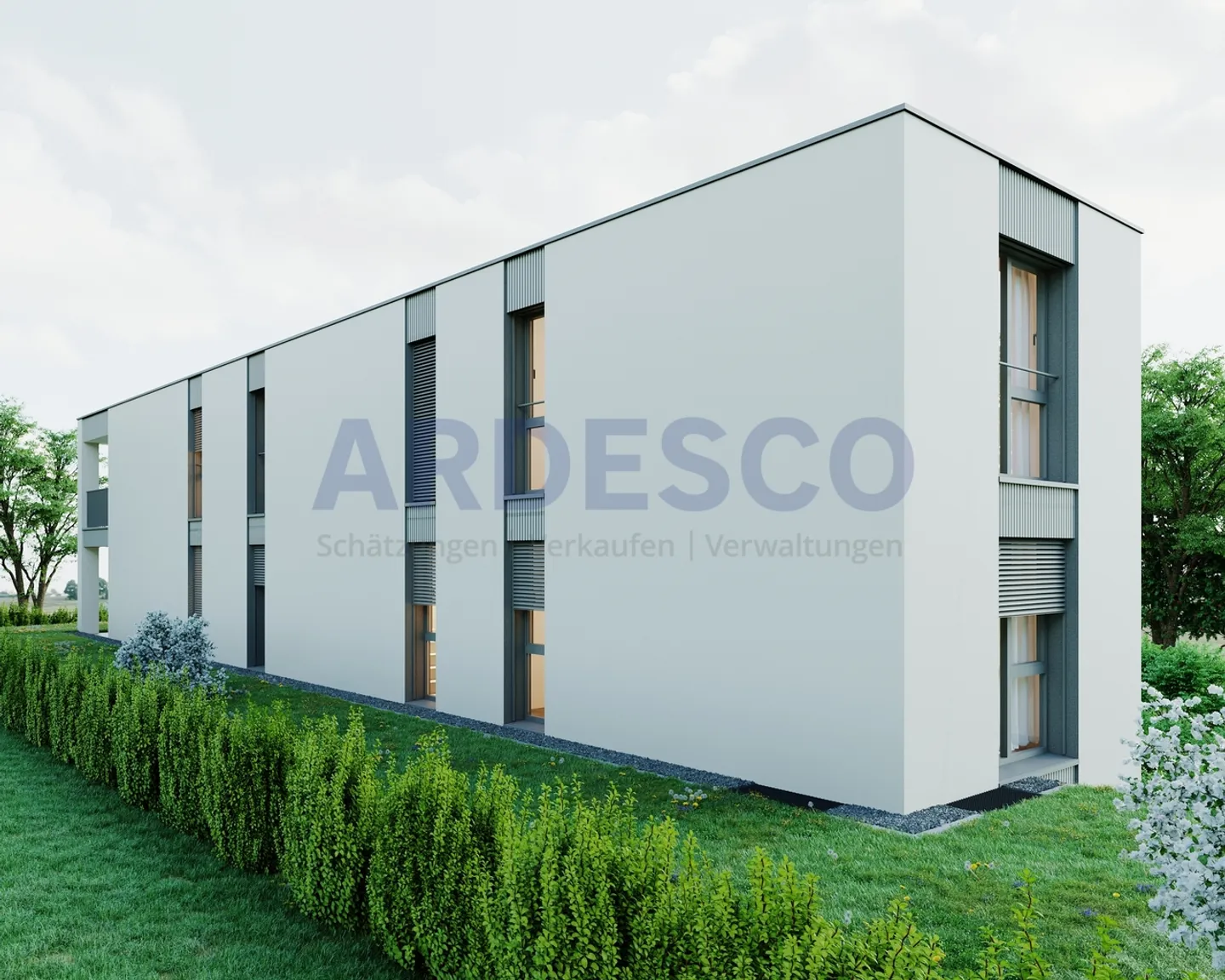 Sur les grands pieds ! - Photo 11 sur 12