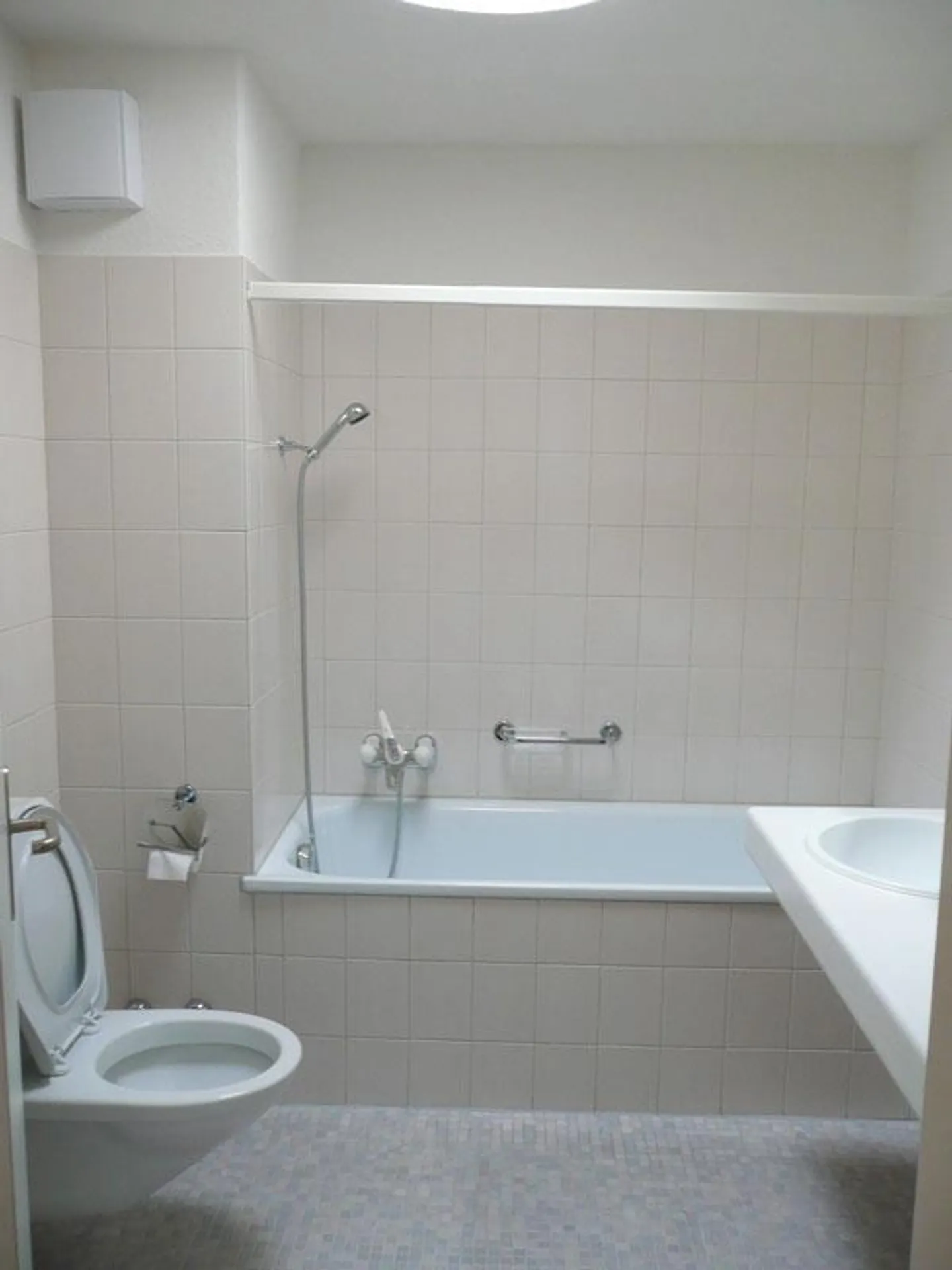 Wonderful view over the Limmat Valley - Photo 9 of 9