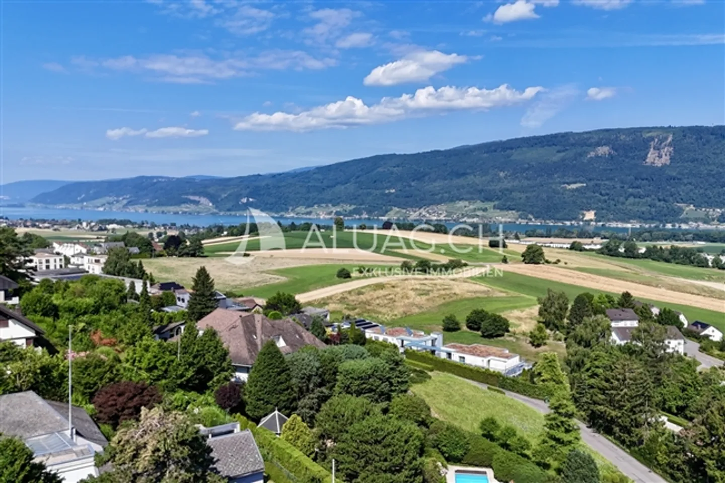 JEWEL OF BELLEVUE WITH LAKE VIEW AND GARDEN - Photo 3 of 11