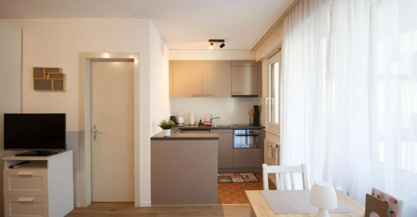 Apartement 1.5-11, renovierte Studiowohnung im Zentrum mit Balkon süd-west und wunderschöner Aussicht auf Berge und Dorf - Photo 4 of 9