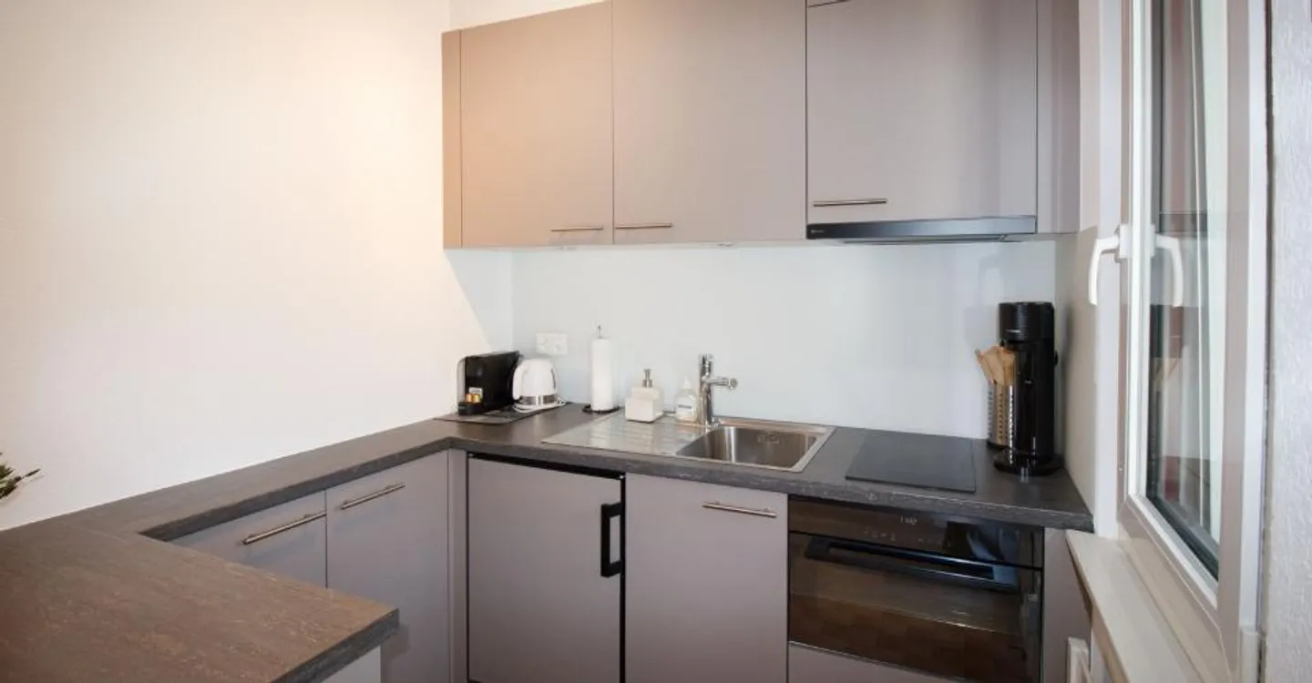 Apartement 1.5-11, renovierte Studiowohnung im Zentrum mit Balkon süd-west und wunderschöner Aussicht auf Berge und Dorf - Photo 5 of 9
