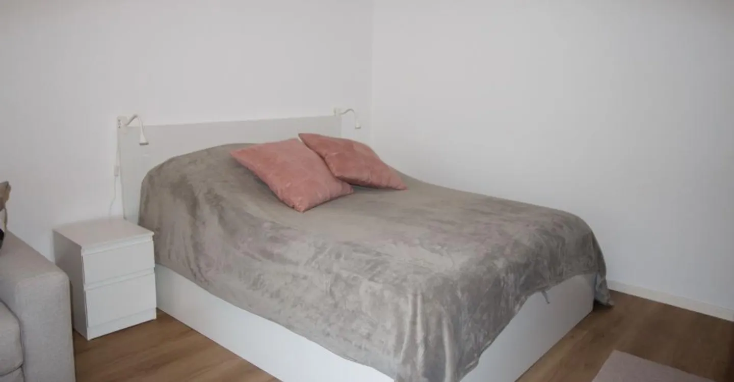 Apartement 1.5-11, renovierte Studiowohnung im Zentrum mit Balkon süd-west und wunderschöner Aussicht auf Berge und Dorf - Photo 6 of 9