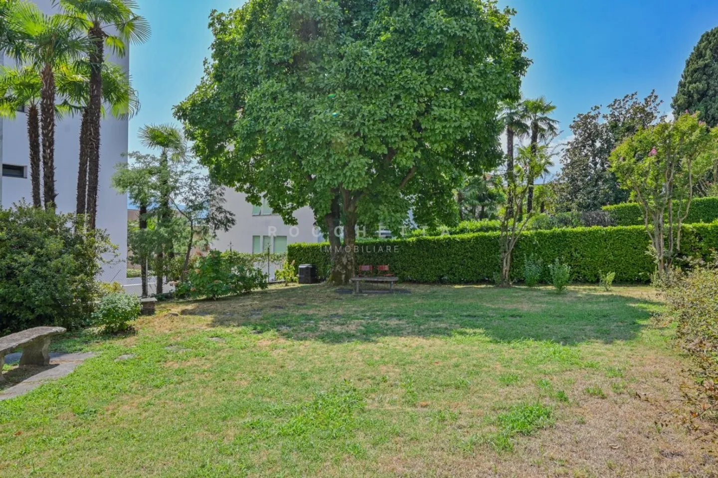 Spacious Apartment with Terrace - Photo 13 of 13