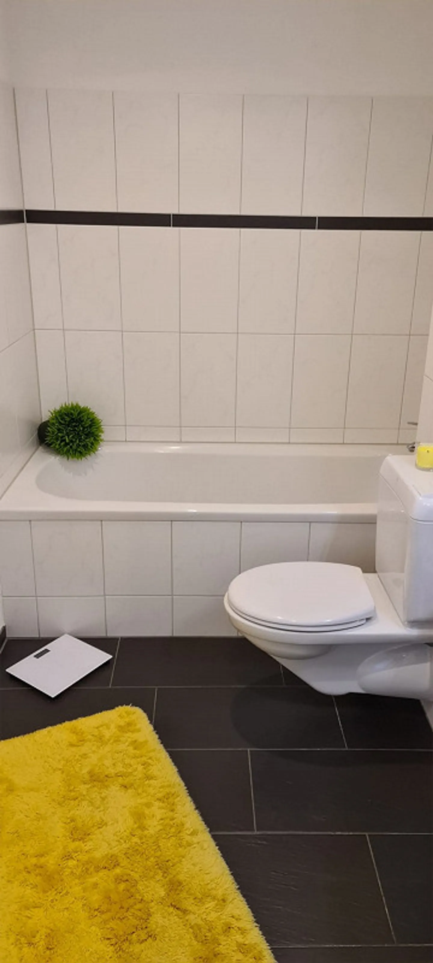 3 1/2 Zi. Whg. Nr.13 - Foto 3 von 5