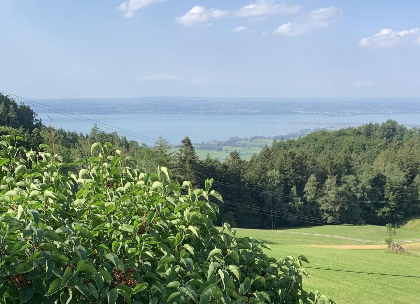 Casa unifamiliare di 5½ stanze in una posizione da sogno sopra il lago di Costanza - Foto 1 di 10