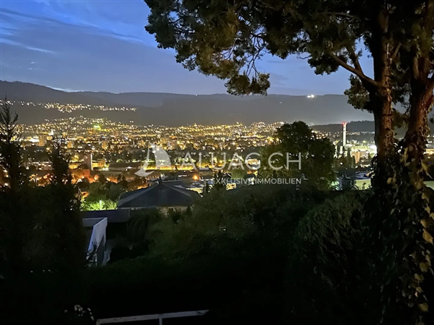 JEWEL OF BELLEVUE WITH LAKE VIEW AND GARDEN - Photo 11 of 11