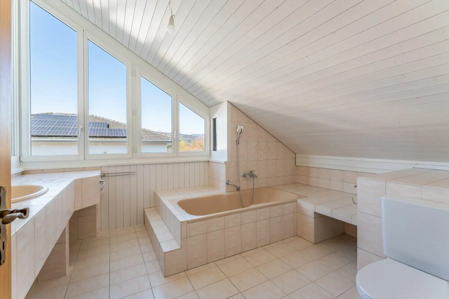 Dream Family Home with Winter Garden by the Agricultural Zone - Photo 11 of 16