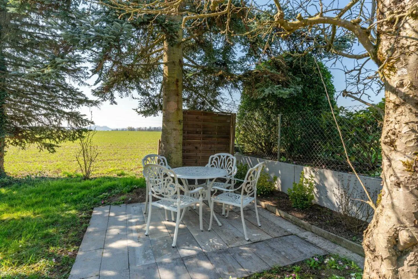 Dream Family Home with Winter Garden by the Agricultural Zone - Photo 16 of 16