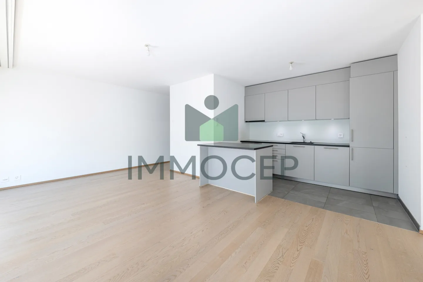 Renovierte Wohnung in Eaux-Vives - Foto 3 von 10