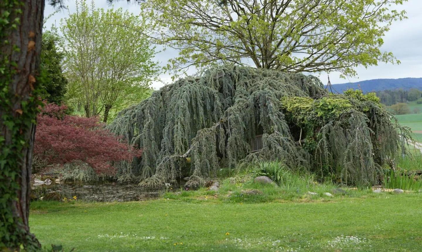 Einfamilienhaus Windlach - Foto 4 von 13