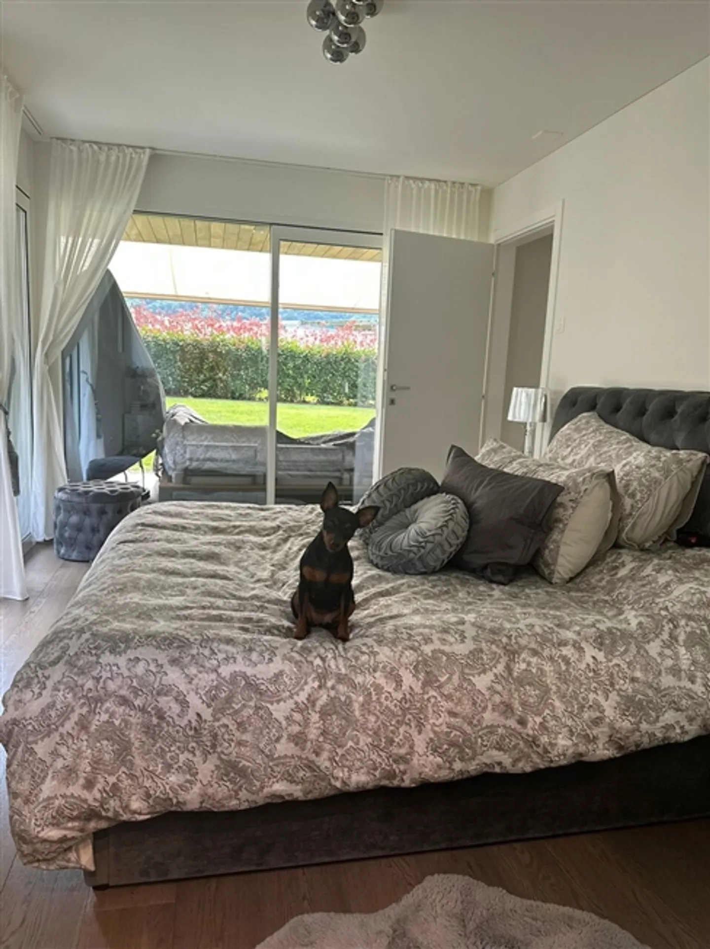 Affittiamo un appartamento di 3,5 stanze con giardino privato e vista lago - Foto 6 di 9