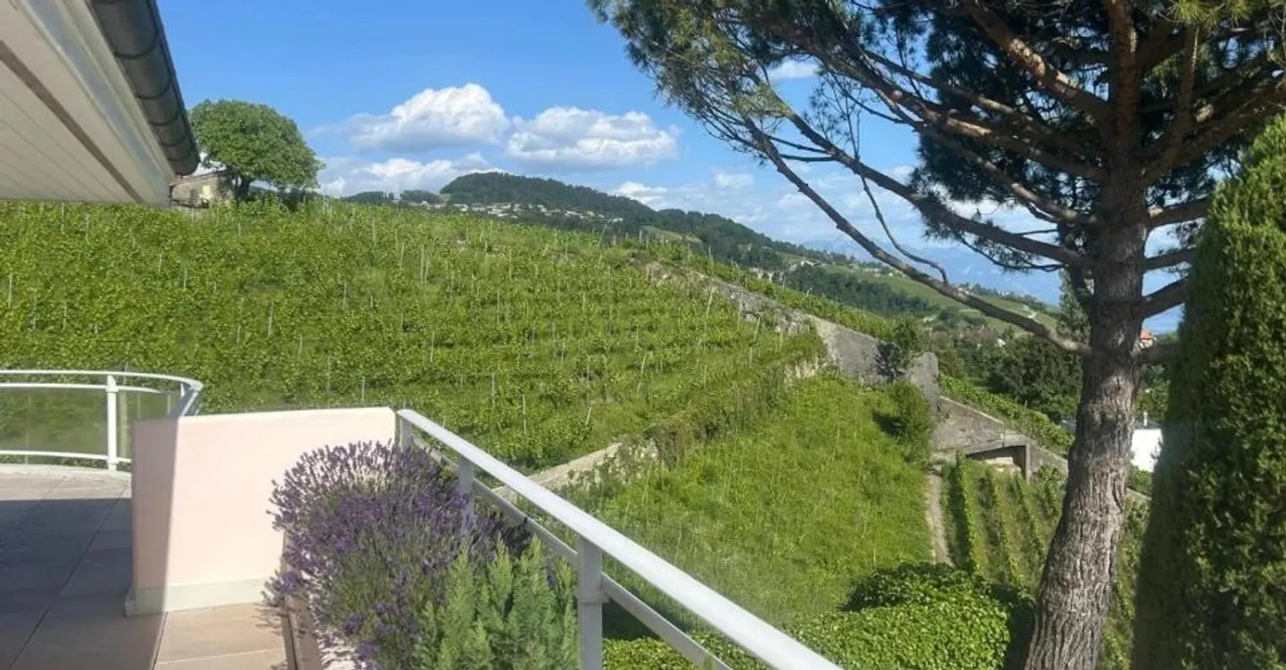 Appartamento eccezionale con vista panoramica a Lutry - Foto 7 di 8