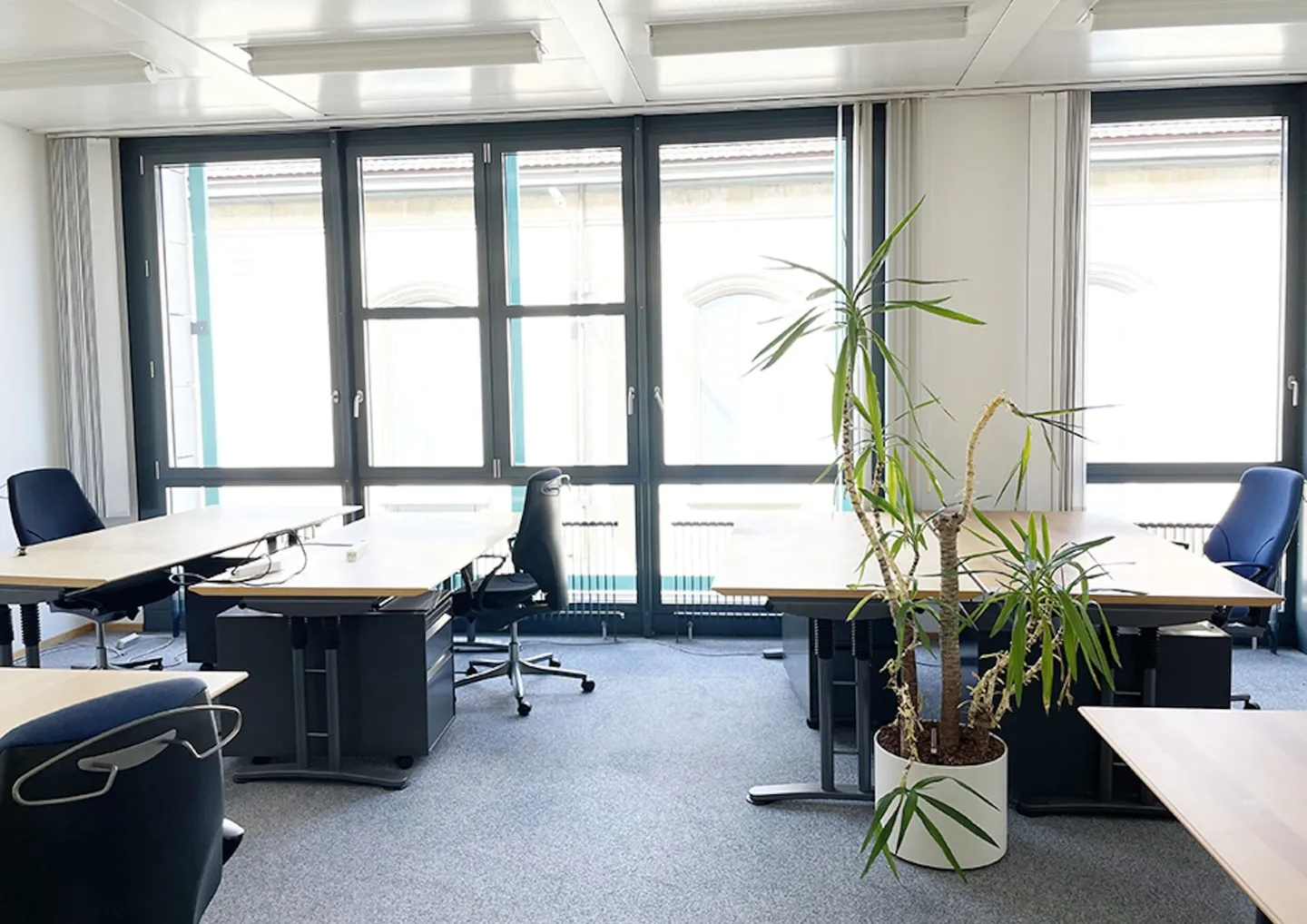 Im Herzen von Aarau | Apfelhausenweg 10 | 4'219 m² - Foto 9 von 20