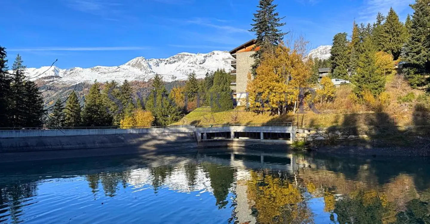 Magnifica vista. Crans-Montana. Vitalizio Occupato. - Foto 4 di 12